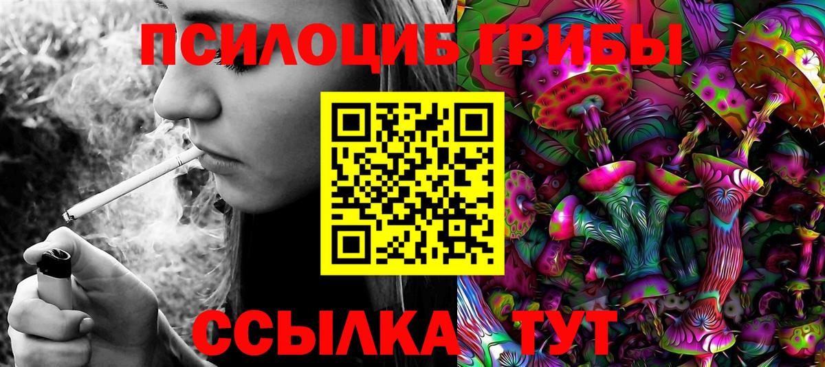 Галлюциногенные грибы ЛСД Гудермес