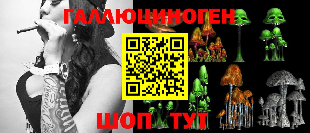 Гудермес  Галлюциногенные грибы мухоморы  купить наркотики сайты  Вход с VPN 